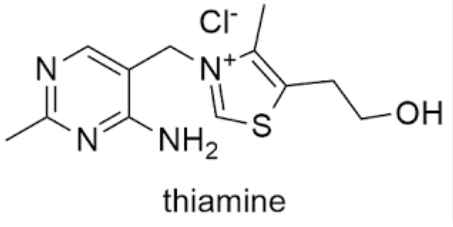 What is Vitamin B1 Good For in Plants.png